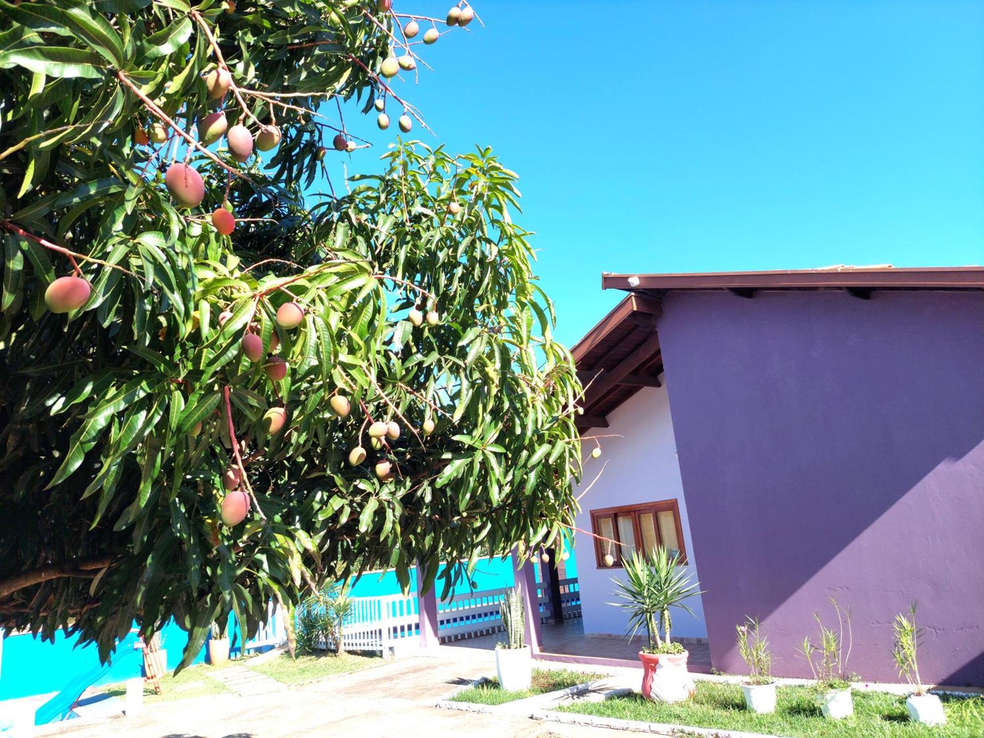 Temporada Belas Casas São Pedro Buitenkant foto